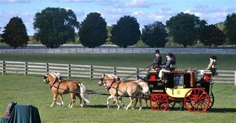 tudor oaks farm
